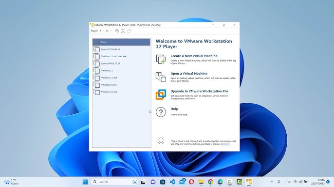 VMware Workstation Player, why does it fail VMware Workstation Player, backup repositories for container volumes and configs